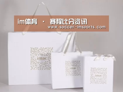 项目名称十一