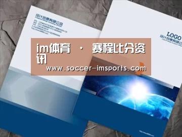 项目名称十