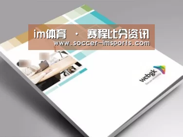 项目名称九