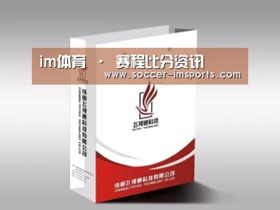 项目名称十三