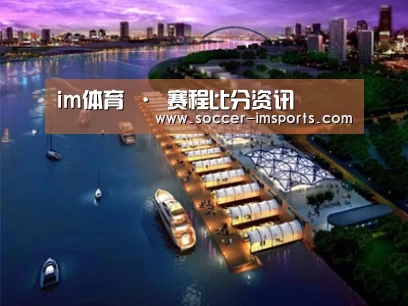 案例展示八
