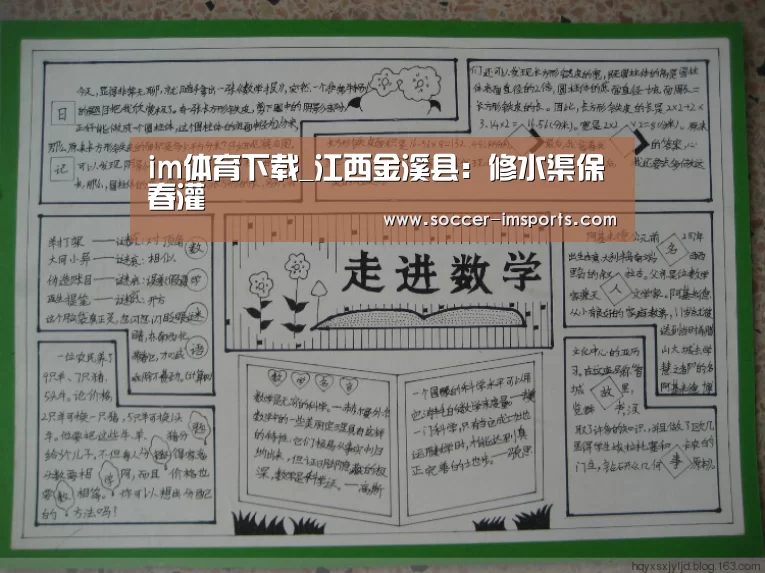 im体育下载_江西金溪县:修水渠保春灌(图4) im足球