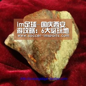 im体育下载
