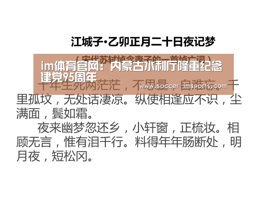 im体育官网:内蒙古水利厅隆重纪念建党95周年(图2) im体育