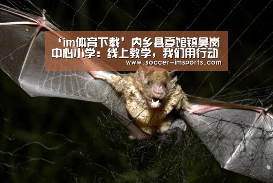 ‘im体育下载’内乡县夏馆镇吴岗中心小学:线上教学,我们用行动证明(图1) im体育下载