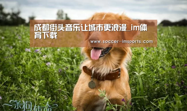 im体育