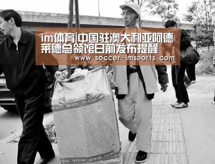 im体育下载