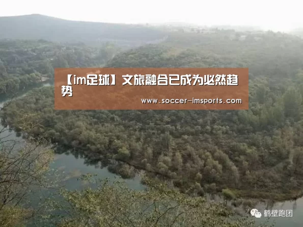 im体育