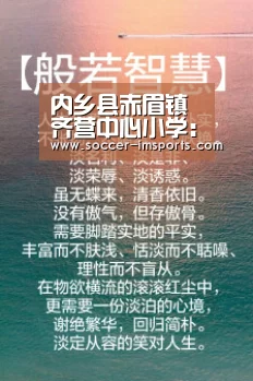 im体育下载