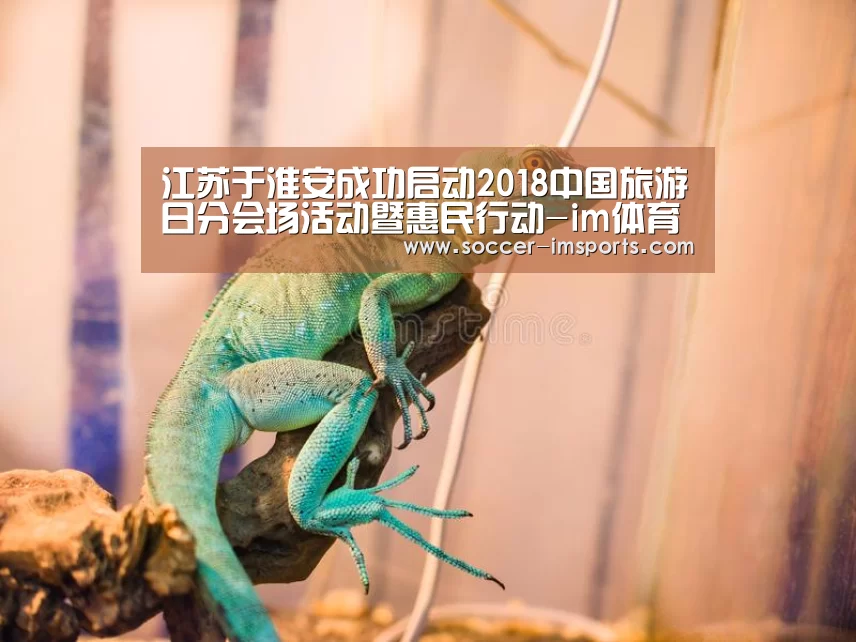 im体育